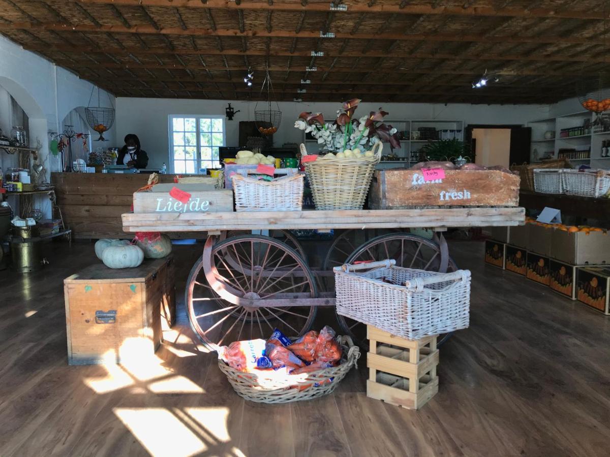 더반빌 Anna Beulah Farm 빌라 외부 사진